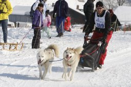 Lenk 2012 SM